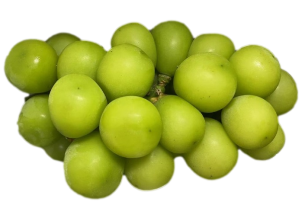 Muscat Grape (500gm/Pkt) [Country: China]