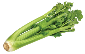 Celery (Pkt) 芹菜