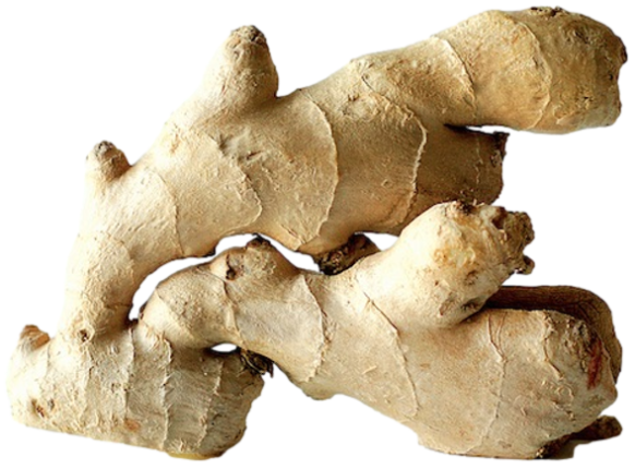 Ginger Old (Kg) 老姜 [Country: Malaysia/Thailand]