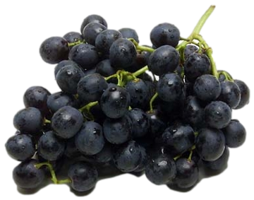 Grape Black (500g/pun) 黑葡萄 [Country: South Africa/Egypt]